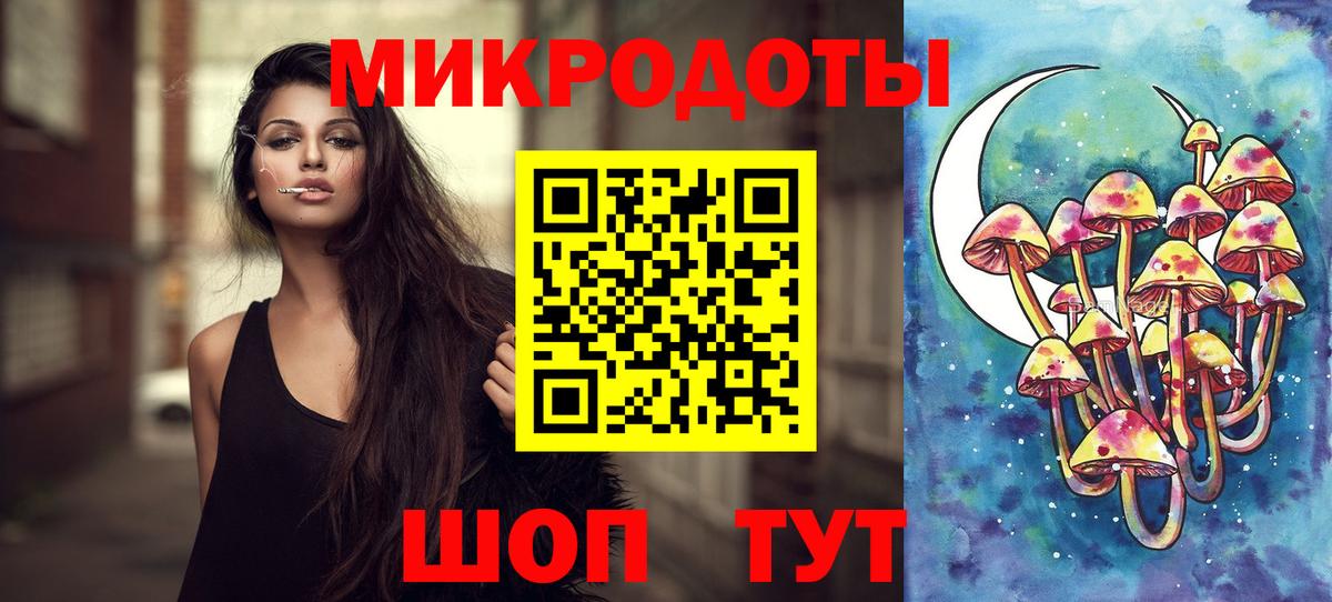 Ковров  Галлюциногенные грибы прущие грибы  как найти   Вход с VPN  Галлюциногенные грибы Psilocybe 